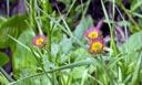 Still unidentified