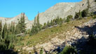 Early morning view of the south face of Mount Audubon