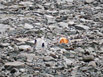 Zoomed in shot of campers in Longs Peak Boulder Field bivouac area from Storm Peak