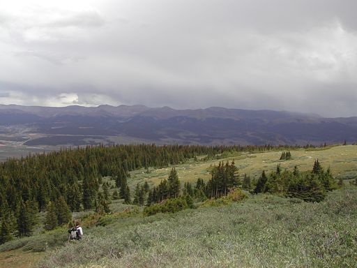 Descending back down to timberline on Mount Massive&rsquo;s East Slopes Route