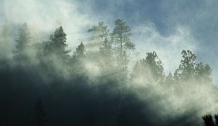Wind and snow in Young&rsquo;s Gulch, Poudre Canyon, Colorado